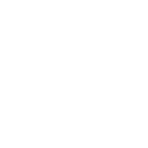 WALKBOLDSHOES