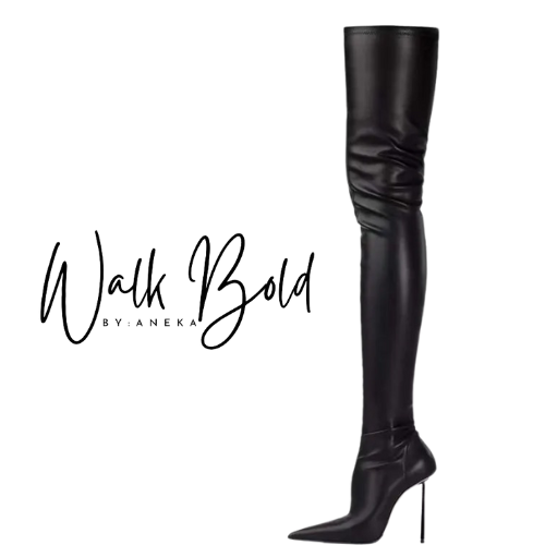 Preorder Sexy Pointy Toe Stretch Thigh High Boots (ETA 11/4-11-11)